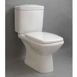 DM-San Duschmeister WC-Monoblock mit WC-Sitz AW Sano.. - Badkeramik