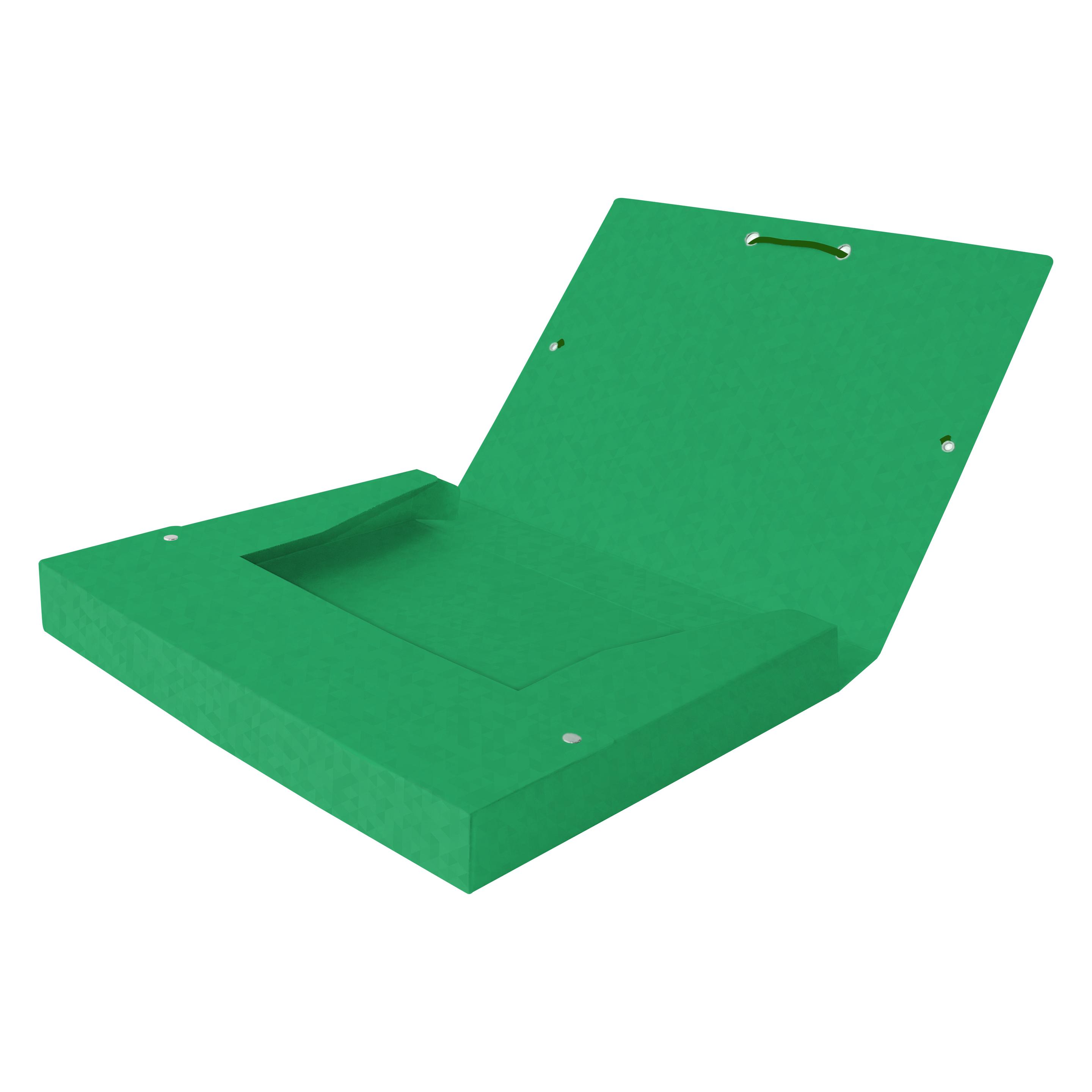 Oxford Sammelbox TOP FILE+, A4 (A4, 1x) (400114373)