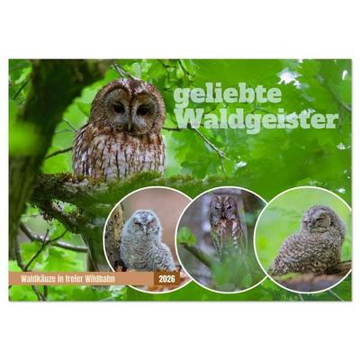 geliebte Waldgeister (Wandkalender 2026 DIN A4 quer), CALVENDO Monatskalender