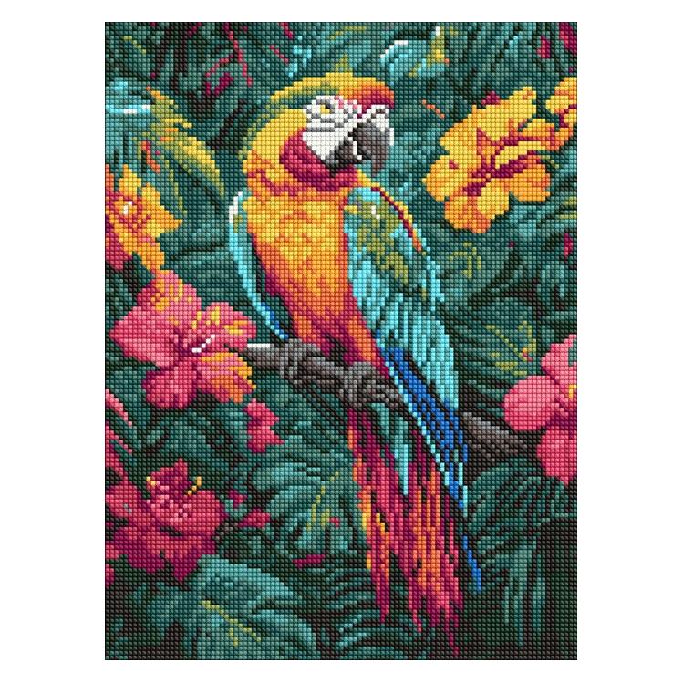Ideyka Diamond Painting Tropischer Vogel 30 x 40 mit Rahmen (AMO8163)