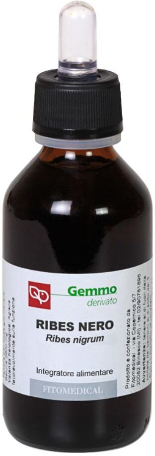 FITOMEDICAL Srl RIBES NE 100ML MG FTM