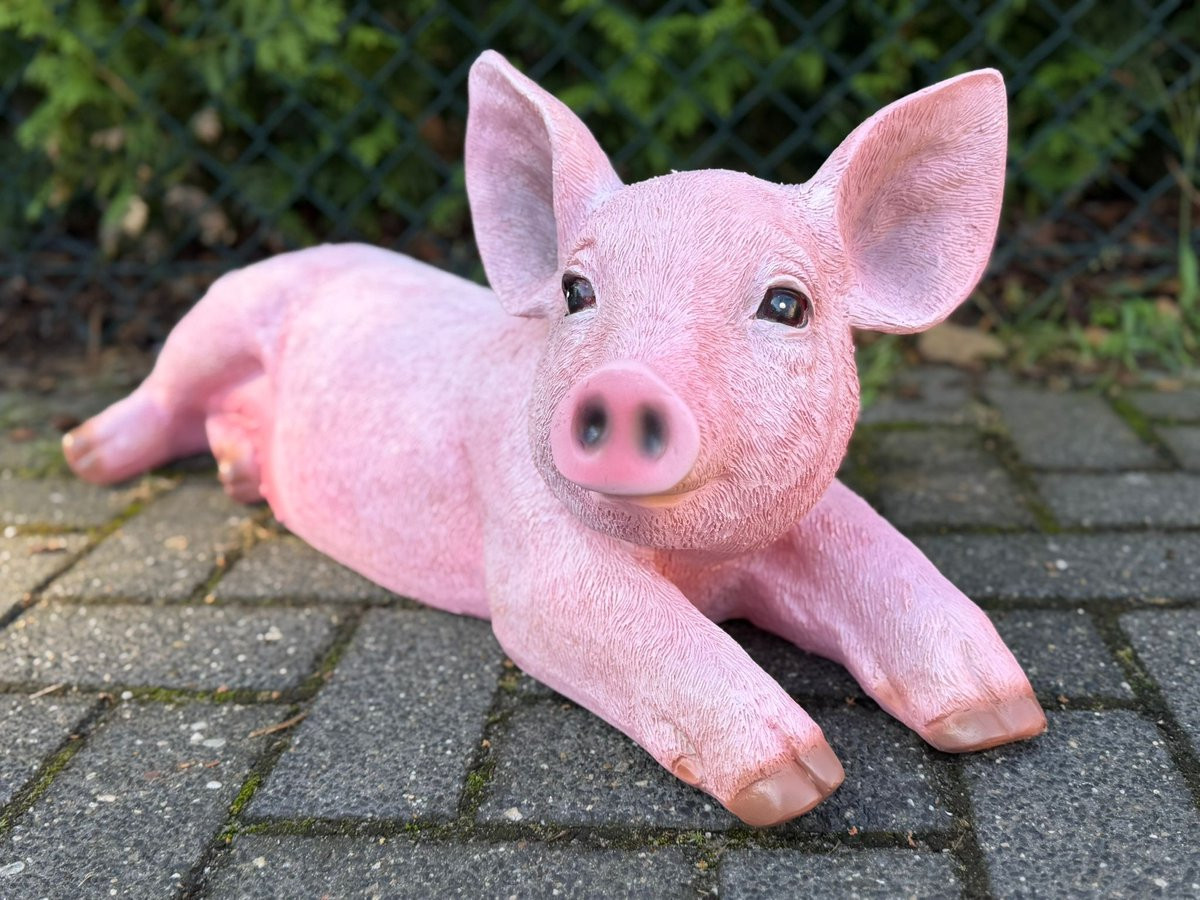 Goodyz Boerderijdieren Biggetjes Liggend Roze