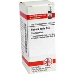 Hedera Helix D 4 10 G