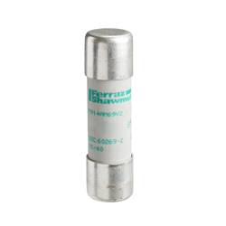 Schneider Electric DF2EA16 Sicherungseinsatz 10 St.