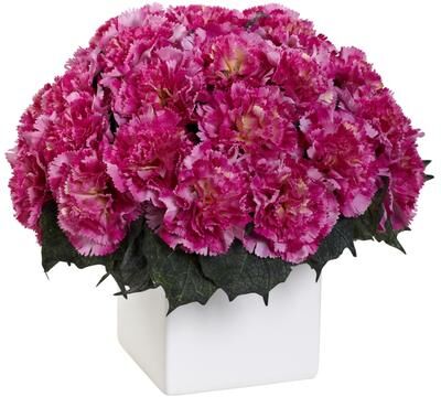 Carnation Arrangement with Vase