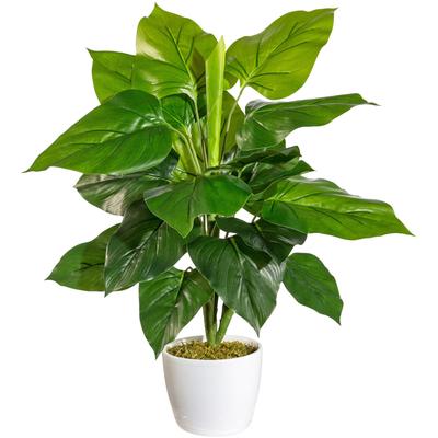 Künstliche Zimmerpflanze OTTO HOME "Jarla, 50cm hoch, 31cm breit", grün, B:31cm H:50cm, Kunststoff, Kunstpflanzen, Künstliche Zimmerpflanze, naturgetreue Kunstpflanze im weißen Keramiktopf