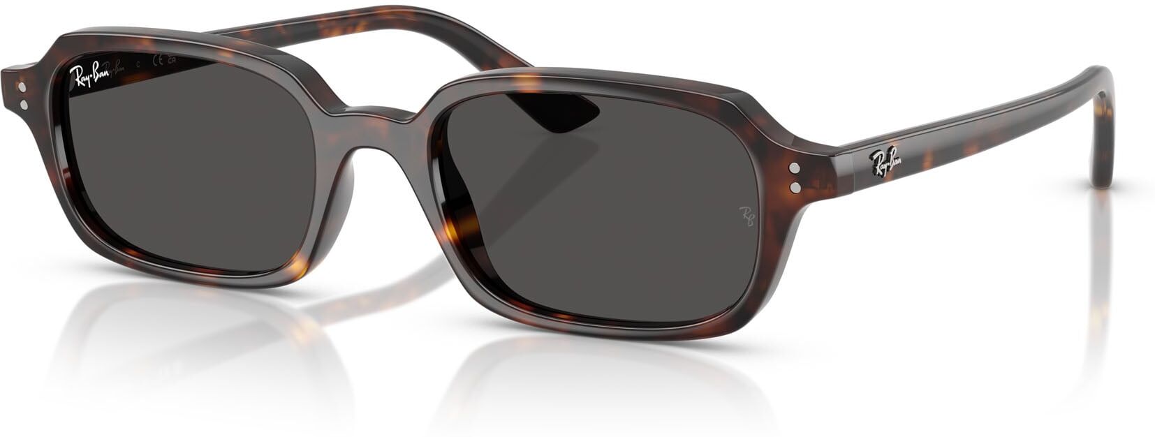 Sonnenbrille Ray-Ban Zuri RB 4455 (135987) Damen