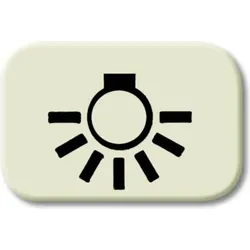 Busch-Jaeger Tastersymbol Licht 2525 LI