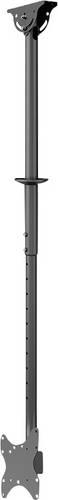 Neomounts CL35-340BL12 TV-Deckenhalterung 58,4cm (23") - 106,7cm (42") Deckenhalter, Höhenverstellbar, Schwenkbar, Neigbar