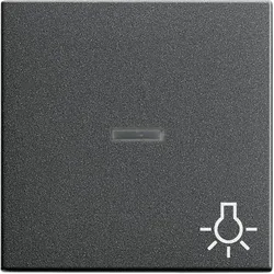 Gira Wippe Licht anth 067428