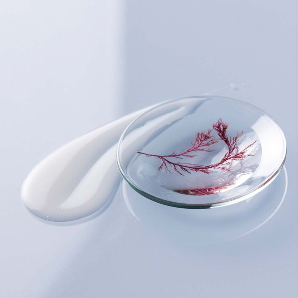 ANNEMARIE BÖRLIND Börlind Shot Hydro Boost Konzentrat 15 ml