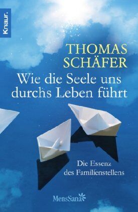 Thomas Schäfer - Wie die Seele uns durchs Leben führt: Die Essenz des Familien-Stellens - Preis vom 11.10.2026 03:10:56 h