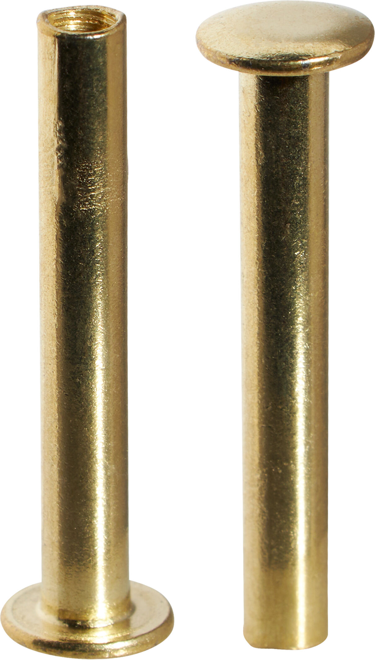 SPRINTIS 100 Unités - Vis de reliure avec tête avec tige filetée, laitonné 30 mm, métal, or