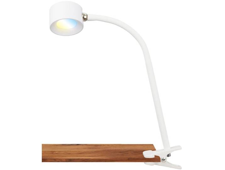 BRILONER TARI - Oplaadbaar Klemlamp - bureaulamp wit - draaibaar leeslampje - dimbaar - snoerloos - voor binnen en buiten IP44