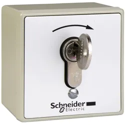 Schneider Electric XAPS11221NZ vandalismussicheres Aufputz-Steuergehäuse - XAP-S - Schloss mit Spezialschlüssel