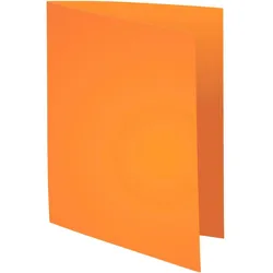 Exacompta, Mappe, Sammelmappe (A4)