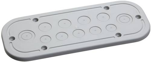 Schneider Electric NSYTSACRNC Kabelflanschplatte für CRN-Schränke, 360x163mm Kabelverschraubungsplatte 1St.