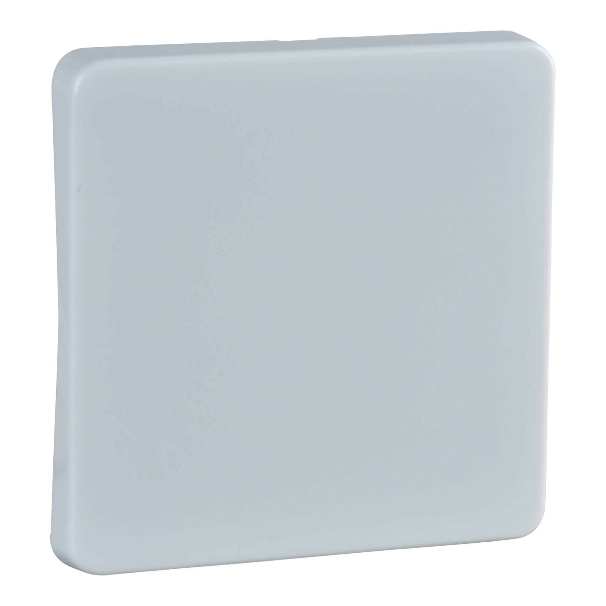 Elso Wippe rw f. Taster/Schalter 213604)