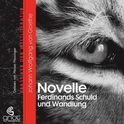 Die Novelle / Ferdinands Schuld und Wandlung - Johann Wolfgang von Goethe, Audio, 9783941234826