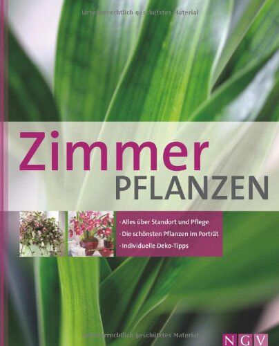 Brunhilde Bross-Burkhardt - Zimmerpflanzen: Alles über Standort und Pflege - Die schönsten Pflanzen im Porträt - Individuelle Deko-Tipps - Preis vom 09.10.2026 07:28:09 h
