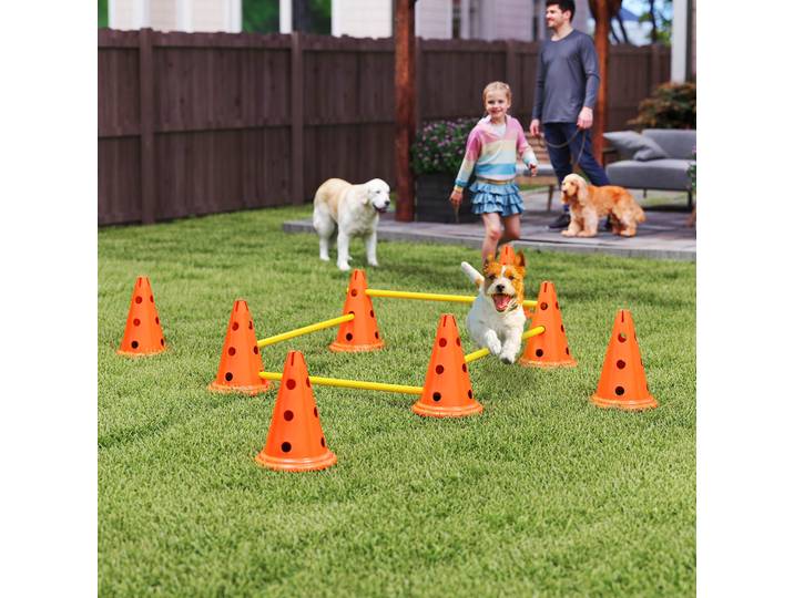 PawHut Jeu d'Agilité Chiens 8 Cônes 8 Barres Entraînement
