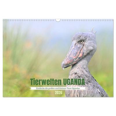 Tierwelten UGANDA (Wandkalender 2026 DIN A3 quer), CALVENDO Monatskalender