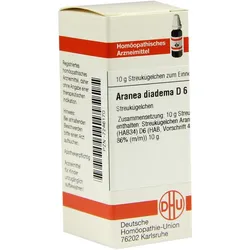 Aranea Diadema D 6 10 G
