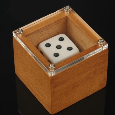 Multisell Products Hub Magic Dice Illusion Prop Number Changing Dice Trick For Kids & Adults Magic Dice Illusion Prop Number Changing Dice Trick For Kids & Adults