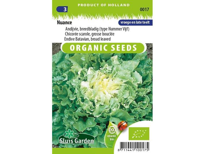 Andijvie zaden breedblad Nuance BIO