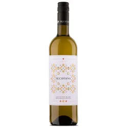 Sauvignon Blanc Olcaviana 2024 BIO