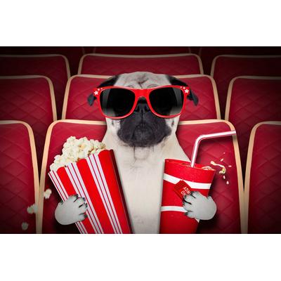 Fototapete PAPERMOON "Hund im Kino", bunt, B:4m L:2,6m, Vlies, Tapeten
