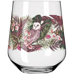 Ritzenhoff Ginglas Set Schattenfauna Gin Tumbler 2er-Set 002, Cocktailgläser, Grün