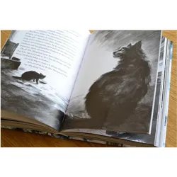 Der Ozean am Ende der Strasse, Belletristik von Neil Gaiman, Christine Strüh