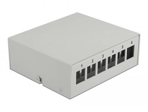 Delock 43410 Patch-Panel Grau