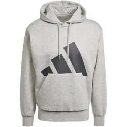 ADIDAS Herren Kapuzensweat Essentials Big Logo, Größe L in Silber Silber