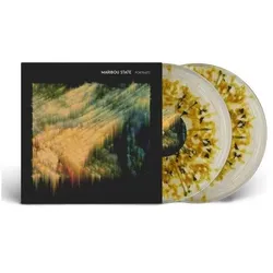 Counter Records, Schallplatten, Portraits (Maribou State)
