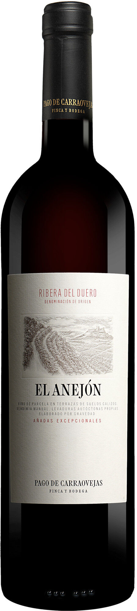 Pago de Carraovejas »El Anejón« 2021 15% Vol. Rotwein Trocken aus Spanien