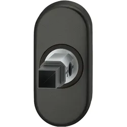 FSB, Türgriff + Türgarnitur, Adapter-Rosette oval Rahmentür, 9 mm, Hochhaltefeder,EN179,Aluminium schwarz