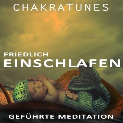 Geführte Meditation - Raphael Kempermann, Audio, 4061707236921