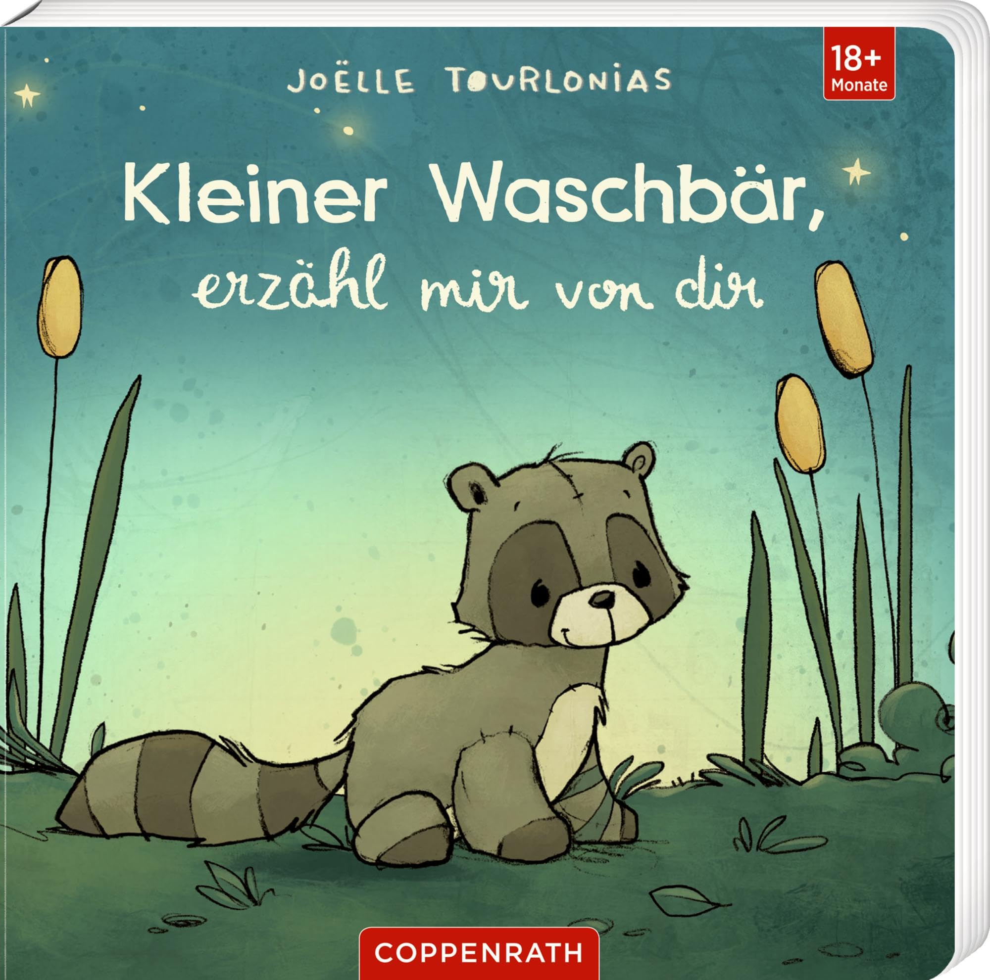 Joëlle Tourlonias - Liebling: Kleiner Waschbär, erzähl mir von dir - Preis vom 17.10.2026 19:25:27 h