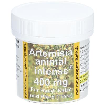 Artemisia Animal intense 400 mg Kapseln vet. 90 St