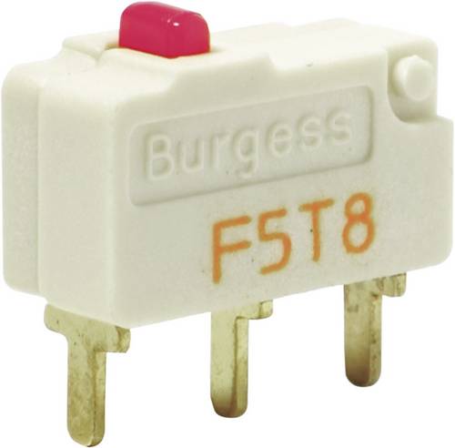 Burgess F5T8UL Mikroschalter F5T8UL 250 V/AC 5A 1 x Ein/(Ein) IP40 tastend