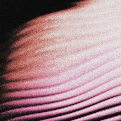 Everywhere,Everything (Digisleeve) - Polar, CD