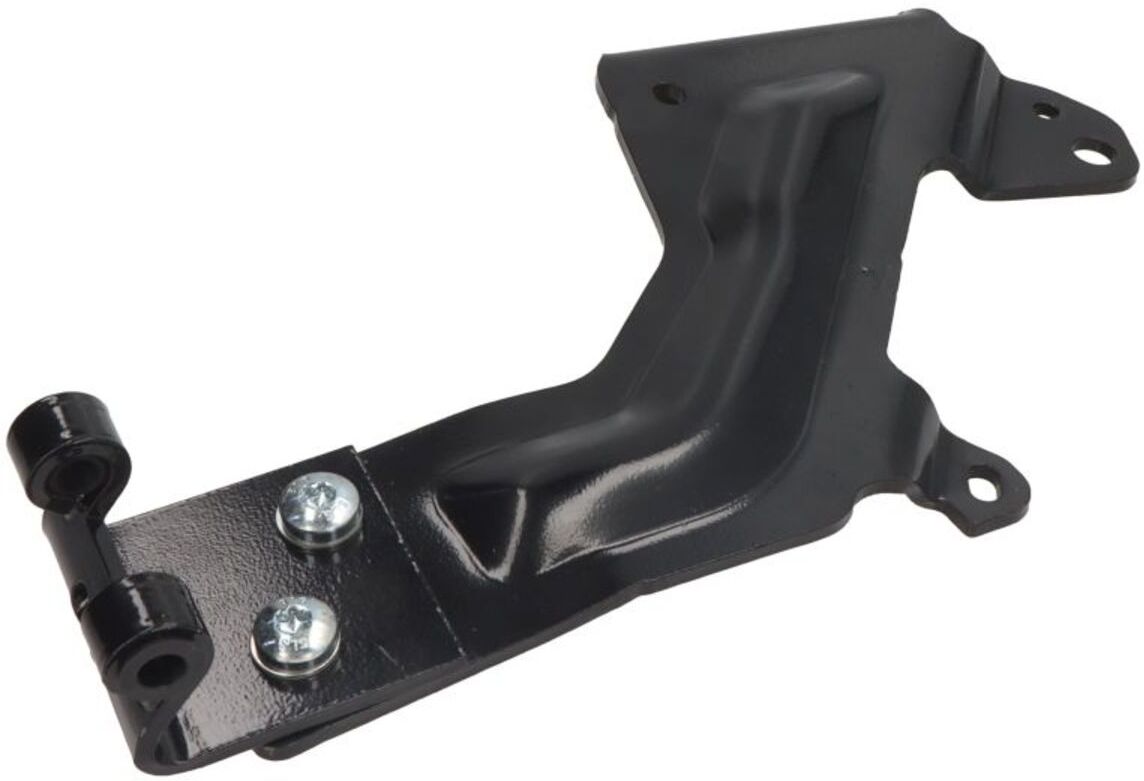 Halter, Kühlergitter PACOL MAN-FP-038R