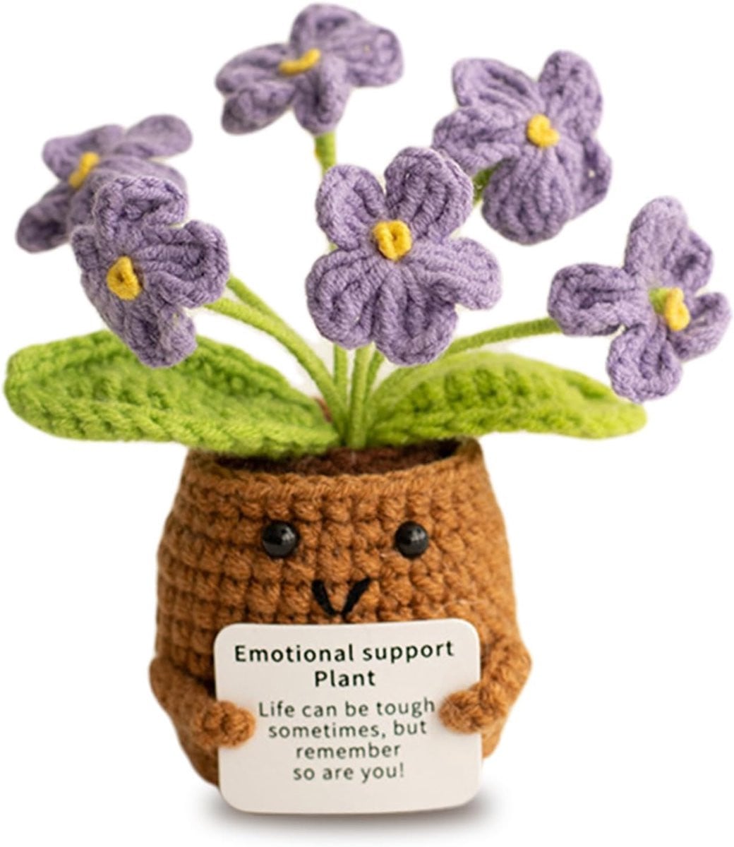 Handgemaakte gehaakte Pocket Hug bloemen geluksbrenger van ShopVlot