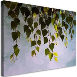 WANDBILD, Grüne Birkenblätter Natur Pflanzen