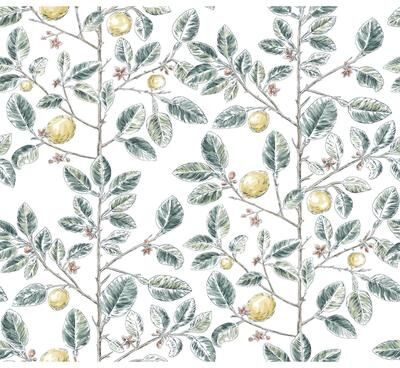 York Wallcoverings Limoncello Toile Forest Wallpaper