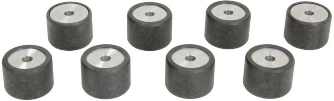 Variatorrolle RMS 10 040 0600