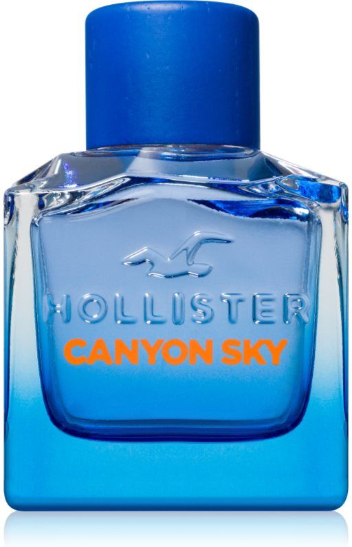 Hollister Canyon Sky For Him EDT M 100 ml
