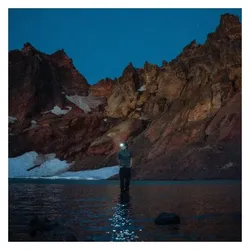 Fugitive Recordings, Schallplatten, Night Diving (The Cost Of Growing Up) (Colv) (Org) (Max McNown)